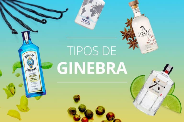 Descubre que tipos de ginebra hay y escoge de entre ellos la variedad que más te guste en nuestra tienda online.