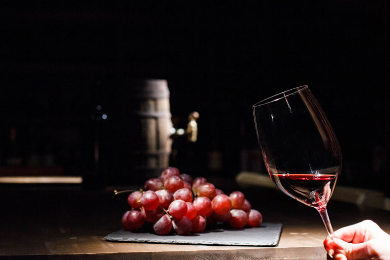 los vinos orgánicos y las bodegas actuales cada vez buscan una mayor conexión con la naturaleza